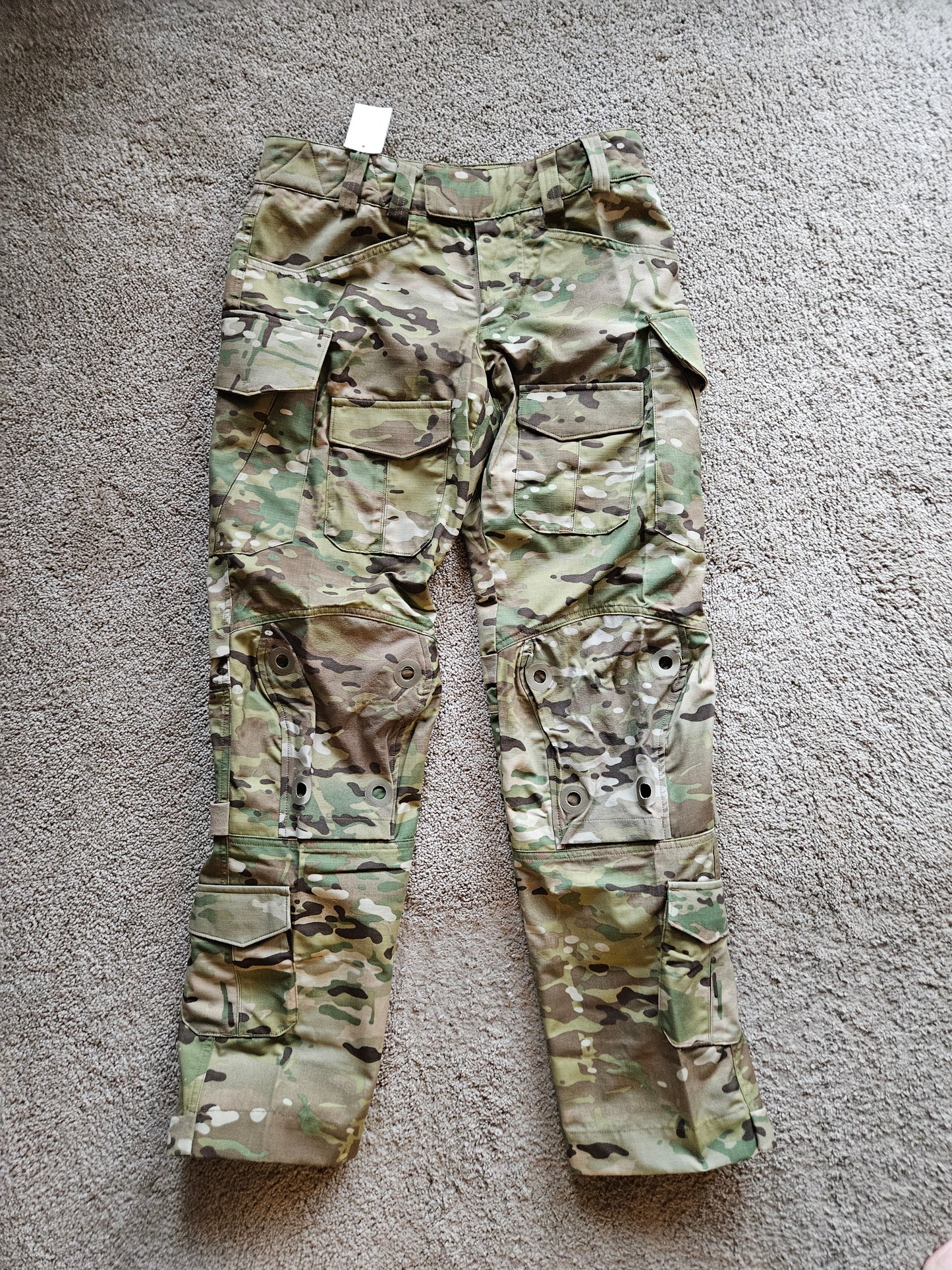 Patagoina Combat Pants